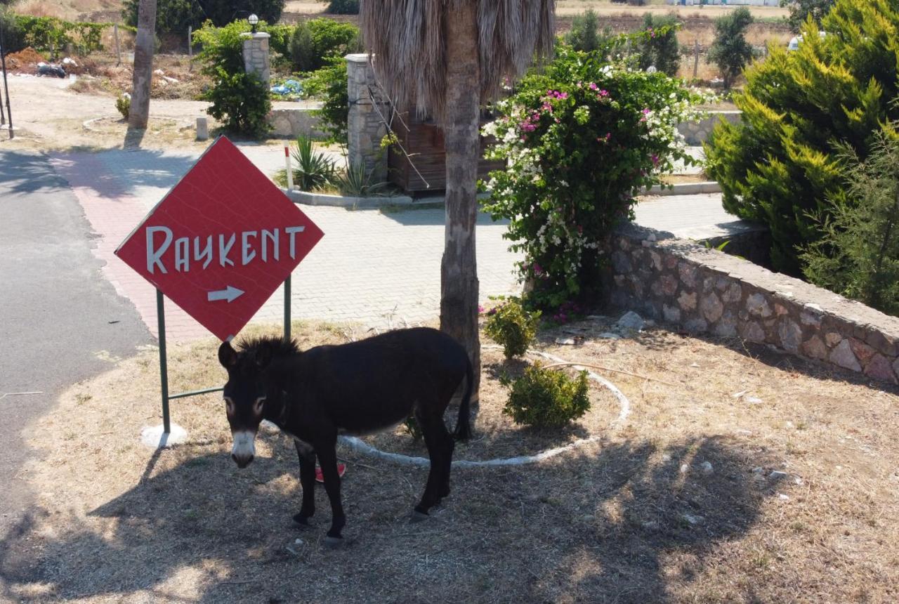 Vılla Ernıs - Datça Raykent Tatıl Sıtesı - Kıralik Exterior foto